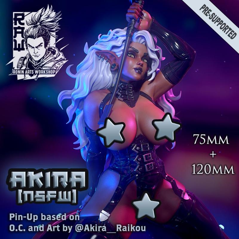 Akira - Dark Elf (NSFW) Pin-Up (75mm+120mm)