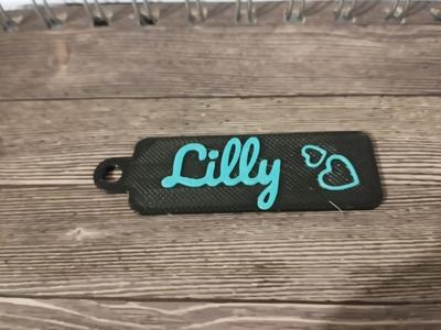 Schlüsselanhänger mit Namen / Keychain with Name Lilly