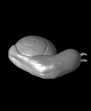 Snail.stl