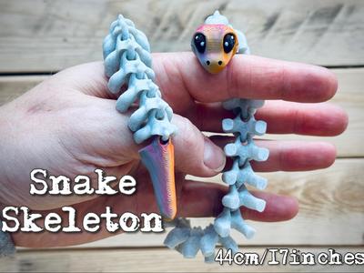 Snake skeleton