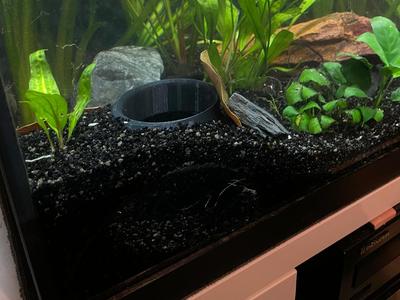 Aquarium fish tank shrimp cave