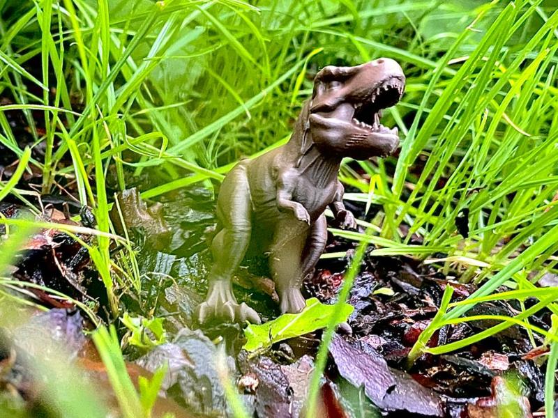 Dinosaur Tyrannosaurus Rex
