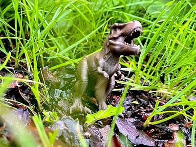 Dinosaur Tyrannosaurus Rex
