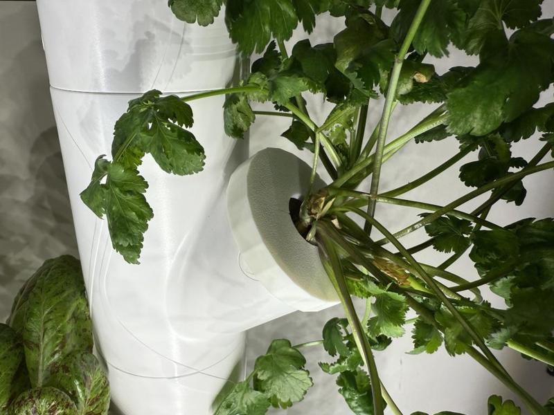Gardyn Hydroponics Algae Cover - Larger Opening