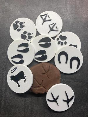 Farm animals  EN-EN/CZ