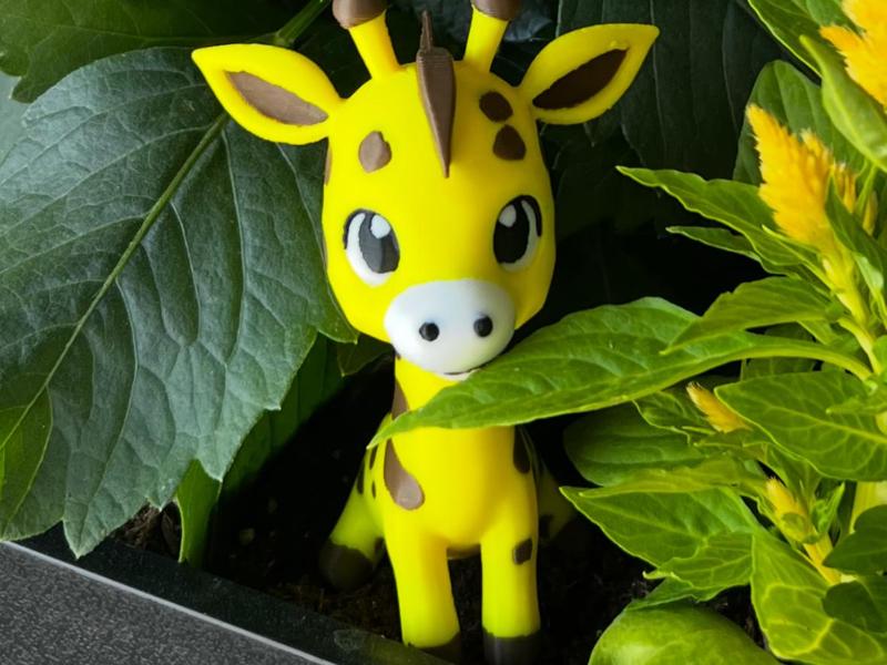 Giraffe