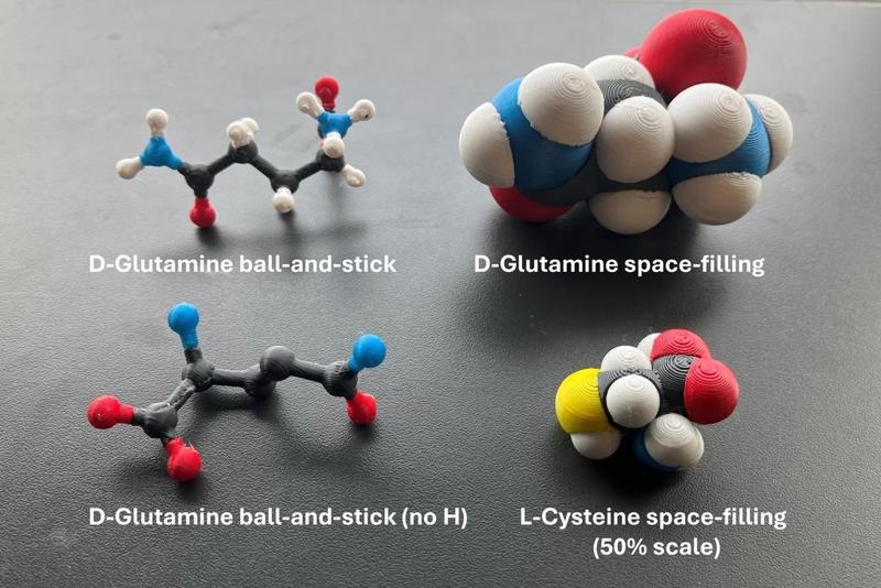 3D printable multicolour molecular models of all canonical amino acids (space-filling; ball-and-stick)