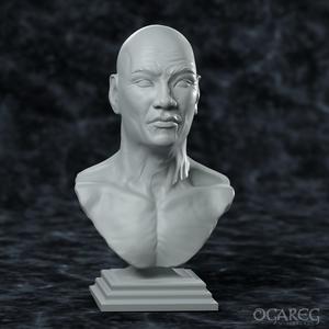 Academic Human Elder bust
