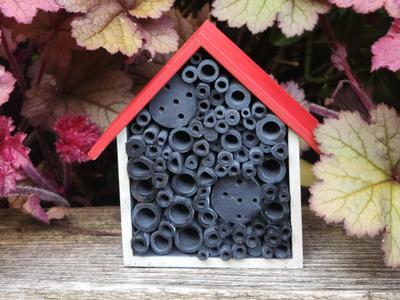 The Bug Hotel