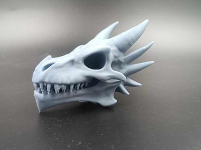 Dragon Skull RPG /Fantasy Dungeon and Dragon