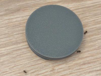 Ant feeder (feed your ants)