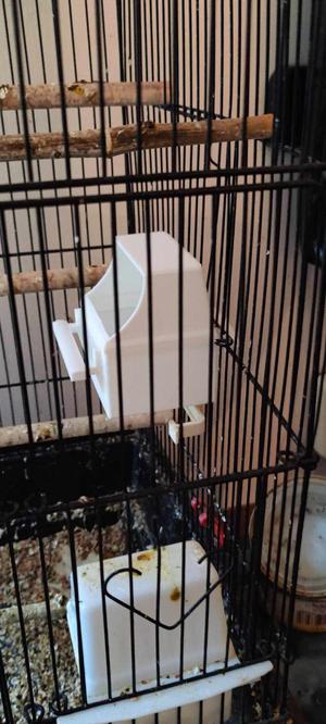Bird cage feeder