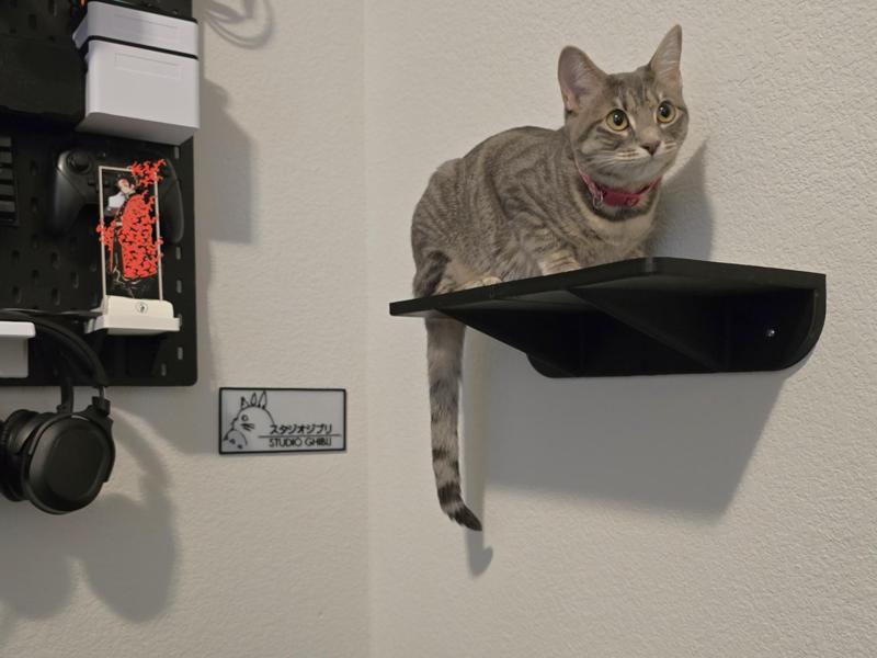 Cat Wall Shelf (180mm x 350mm) A1 Mini friendly