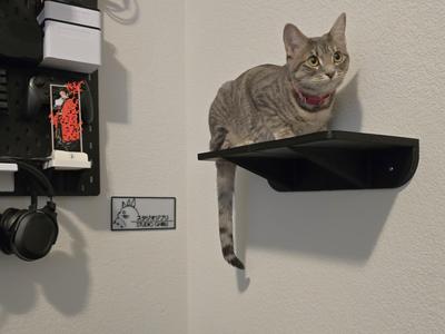 Cat Wall Shelf (180mm x 350mm) A1 Mini friendly