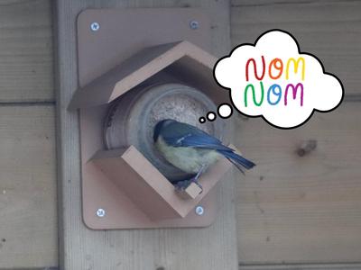 Bird Feeder - Peanut Butter Jar Holder 