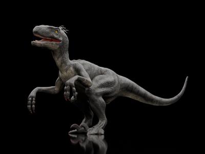 Velociraptor Dinosaur