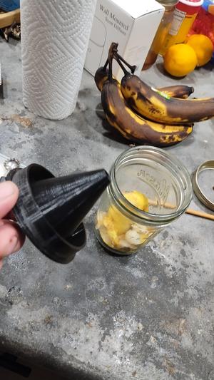 Worlds Greatest Fruit Fly Trap