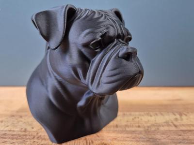 American Bulldog Bust