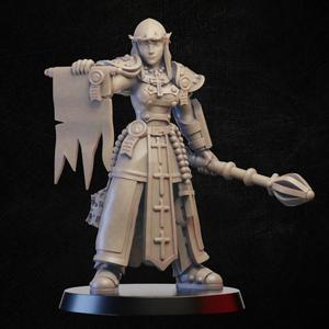Battle sister with holy scroll