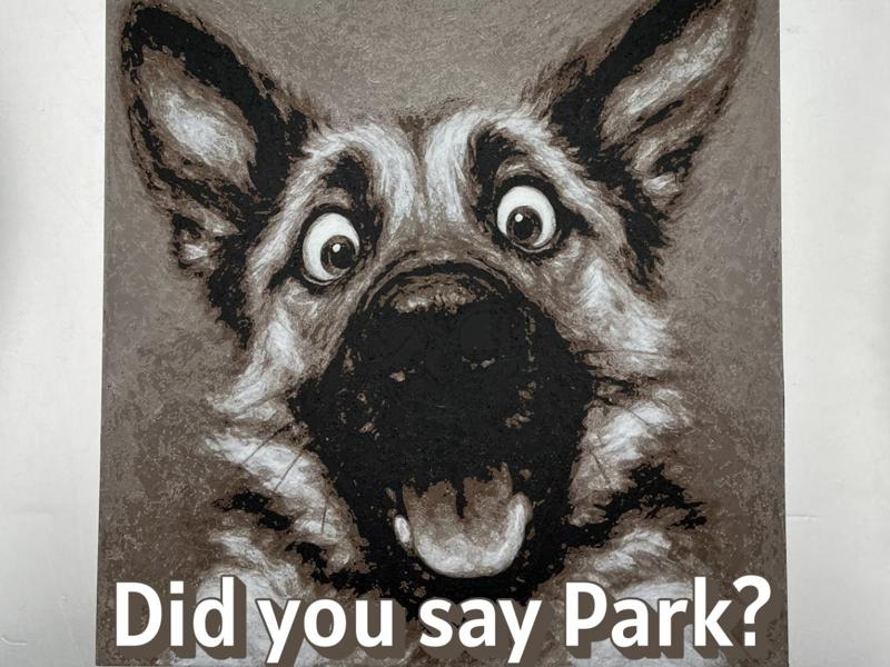 Did you Say Park?