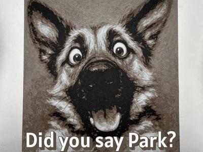 Did you Say Park?