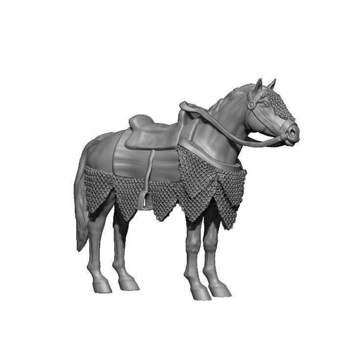 Crusader horse 1