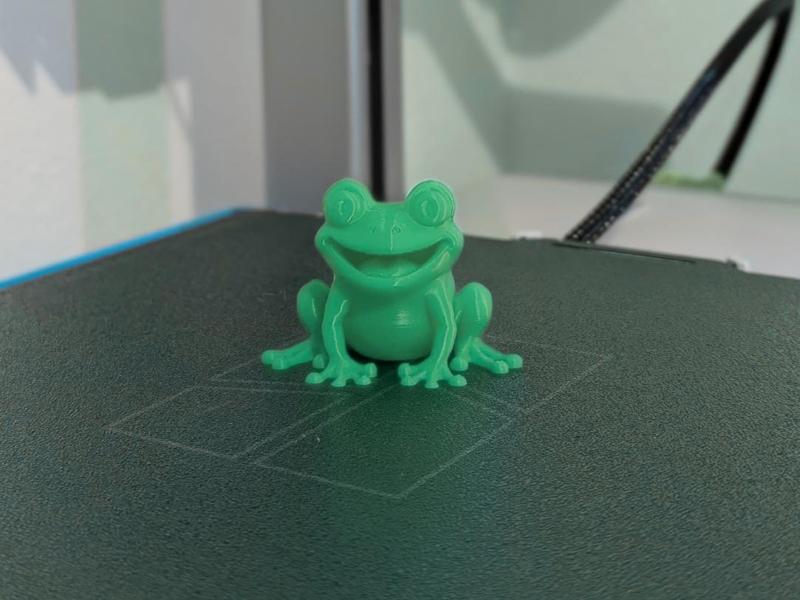 Little Frog with Big Smile - BubuFrog