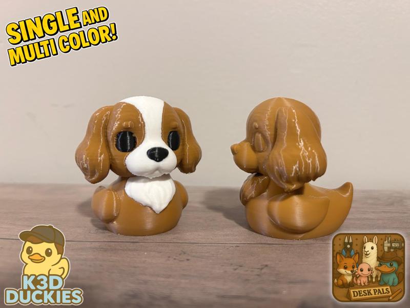 Cavalier King Charles Spaniel Duck