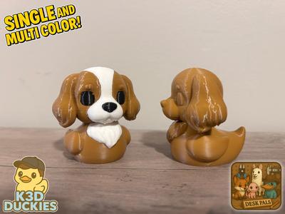 Cavalier King Charles Spaniel Duck