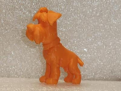 Schnauzer