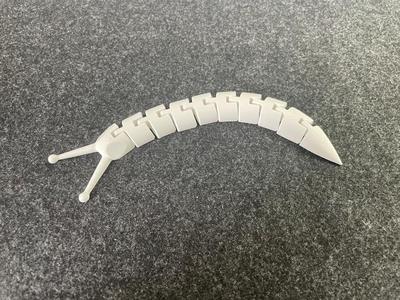 Articulated slug