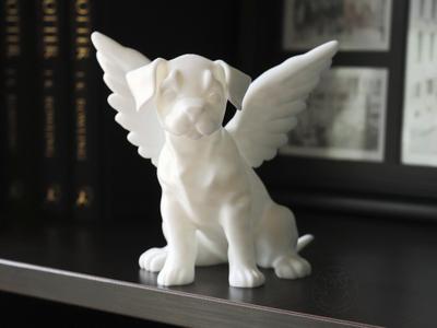 Dog with Angel Wings