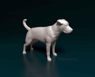 American Pitbull