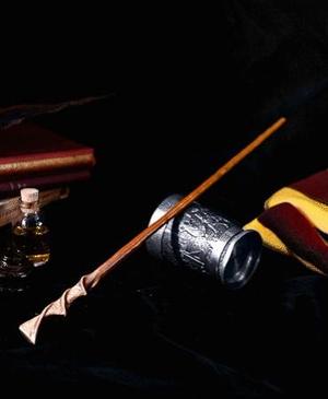 Parvati Patil's Wand - Harry Potter