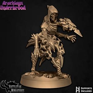 Arachlayn Infiltrator C