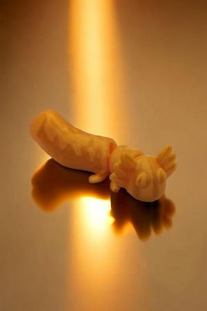 Cute Flexi Axolotl - Cheetoltl