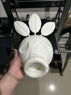 Deku Mask