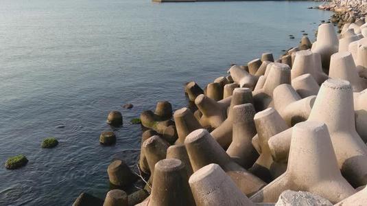 Tetrapod