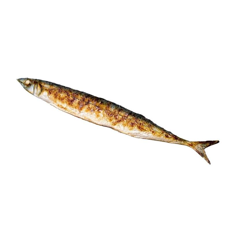 Fishy