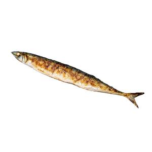 Fishy