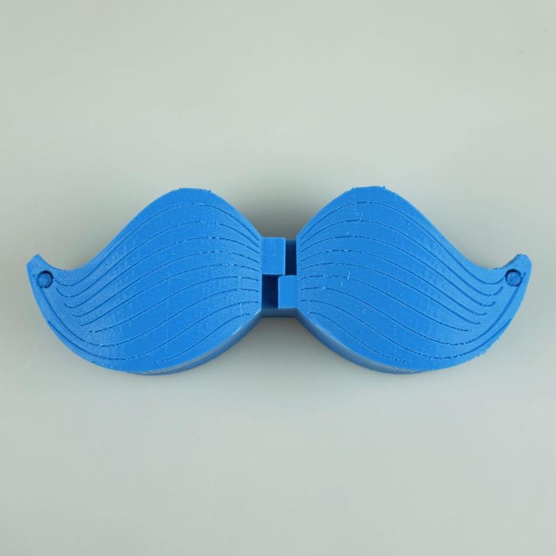Secret Stache