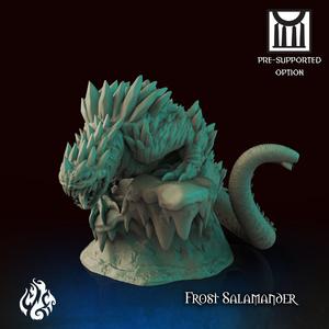 Frost Salamander