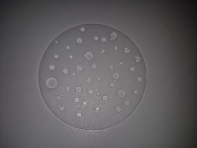 Pancake 80mm (Palacinka)