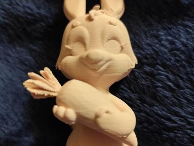 Rabbit with Carrot