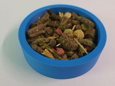 guinea pig bowl