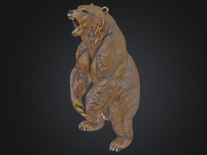 Majestic Grizzly