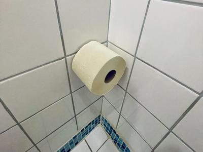 Toilet paper buddy