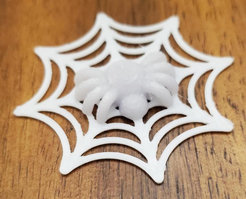 Spider in Web