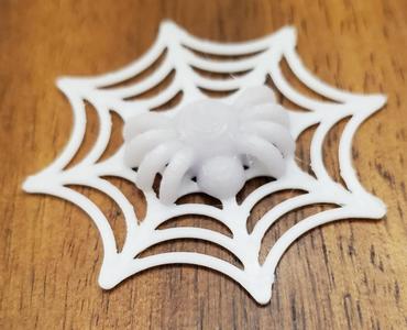 Spider in Web