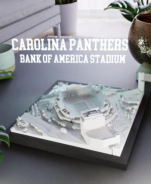 Carolina Panthers - Bank of America Stadium